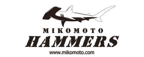 HAMMERS
